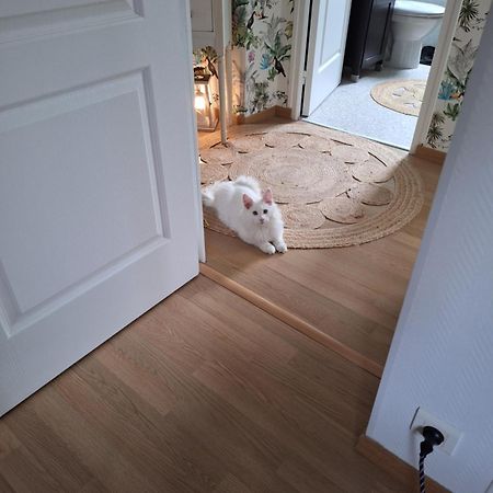 Chambre Climatisee Au Coeur De Brive Avec Televiseur Connecte Wifi Netflix Exteriör bild